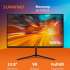 23.8" Монитор SunWind SM-24FV222,  1920x1080,  VA,  100Гц,  1хHDMI,  черный [sm24vb01]